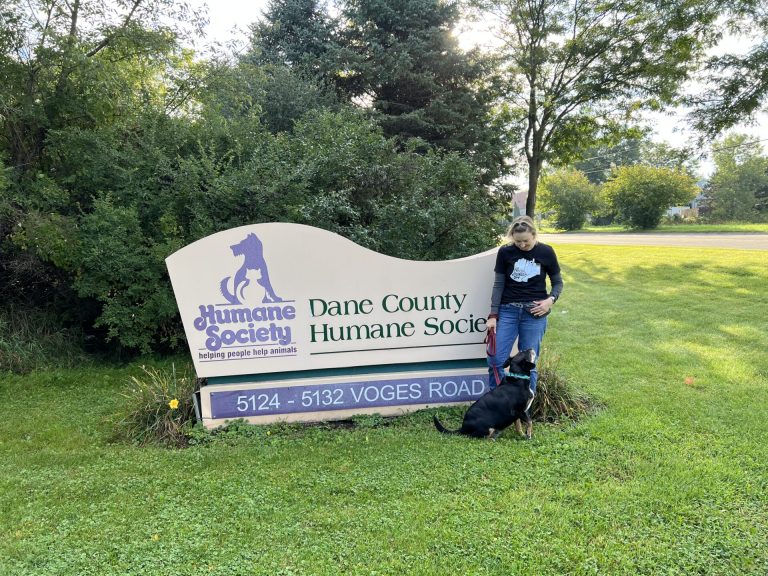 Katie poses with one of the many fur babies up for adoption at the Dane County Humane Society on Volunteer Day 2022